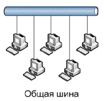 Шинная топология